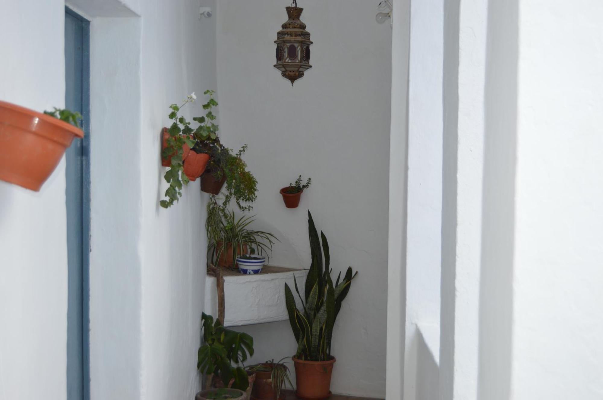 Nuestra Casa En Vejer Διαμέρισμα Vejer de la Frontera Εξωτερικό φωτογραφία